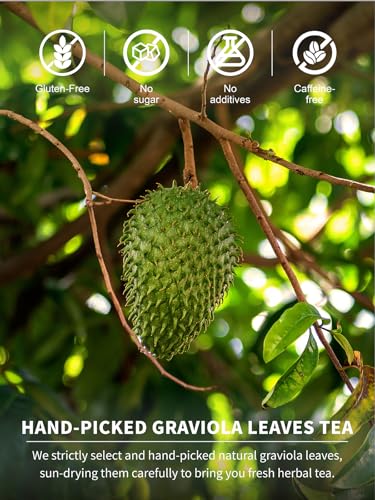 Image of TeeLux Soursop Graviola Leaf Tea Bags, Natural Soursop Leaves Tea, Mild & Smooth Taste, Caffeine Free, 50 Count