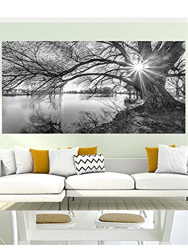DIY 5D Diamond Painting Kit Complet Arbre au bord du lac noir et blanc,Diamond Painting Grand Format Adultes Cristal Strass Broderie Point de Croix,Salon Chambre Mural Décora Square Drill,50x100cm