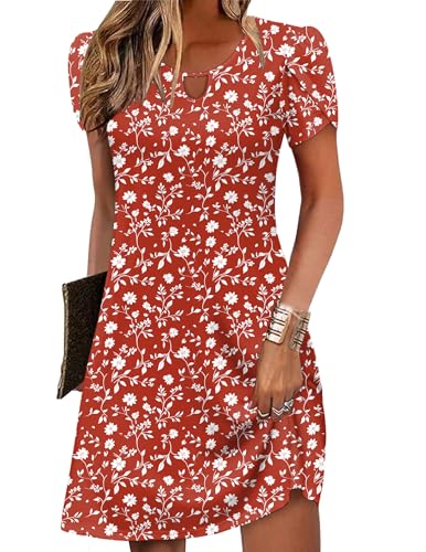 Image of Zeagoo Women's Casual A-Line Dresses with Pockets Summer Floral Tshirt Dress Short Sleeve Mini Dress Flowy Sundresses