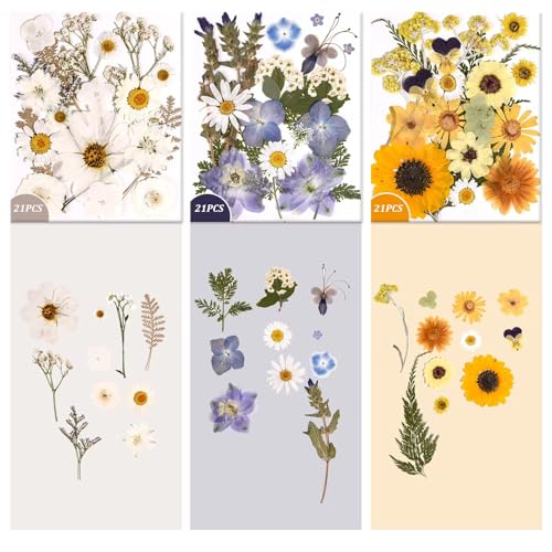 Image of 9 Packs of 200 Pressed Dried Flowers and Leaves for DIY Crafts | Assorted Real Natural Dry Flowers with Tweezers For Resin, Soap, Jewelry, Card Making,Nail Artand Scrapbooking
