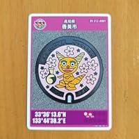 マンホールカード 高知県 香美市 初期ロット001 第25弾 龍河洞 リューくん