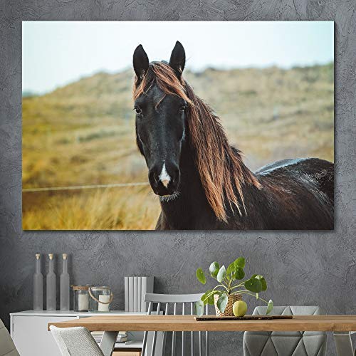SIGNLEADER Horse Canvas Wall Art Horse Looking into Camera Photography Prints Wall Decoration for Living Room - 16x24 inches