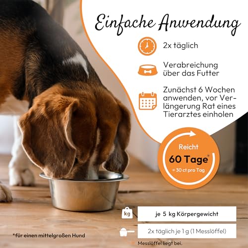 PHA Nieren Activ Plus für Hunde & Katzen - Unterstützung der Nierenfunktion & Erhalt der normalen Nierengesundheit von Hund & Katze, Ergänzungsfuttermittel, Pulver 60 g