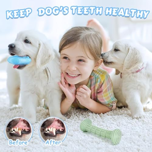 Welpenspielzeug zum Zahnen, weich und langlebig, 6er-Pack, quietschendes Spielzeug für kleine und mittelgroße Hunde, geeignet für 2–8 Monate, Zahnreinigung und Mundgesundheitsschutz für Welpen,