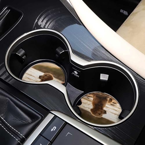 Portavasos para Carro con Diseño Retriever, 2 Piezas miniatura 7