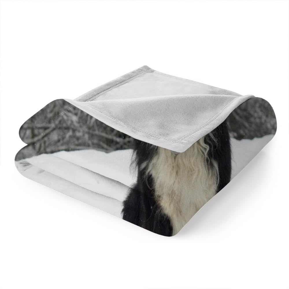 Douce Flanelle Couverture Polaire 3D Chien Montagne Bernois Microfibre Fluffy Couverture de literie 2 Personne Chien Compagnie Enfant Adultes Fille Garcon Sherpa Couverture de canapé 150x200cm