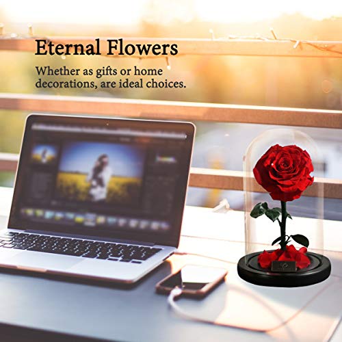 A Surprised Red Fresh-Keeping Rose, Blooming Beautiful and Elegant in the Glass Cover, Valentine\'s gift, Birthday Present, Mother\'s Day gift, Perfect Eternal Flower For The Person You Like - Thumbnail 2