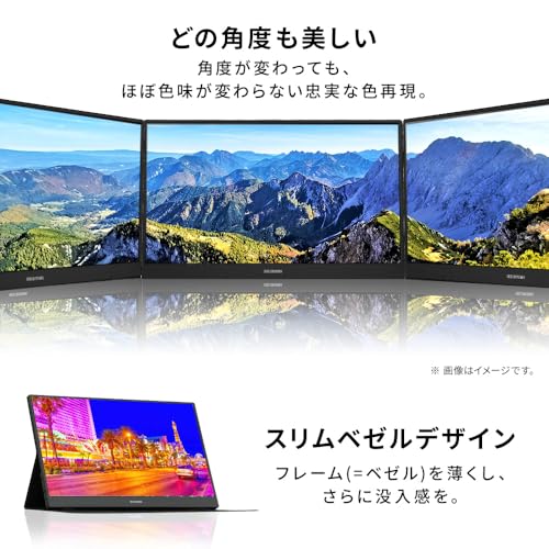 アイリスオーヤマ モニター 15.6インチ DP-DF163S-B