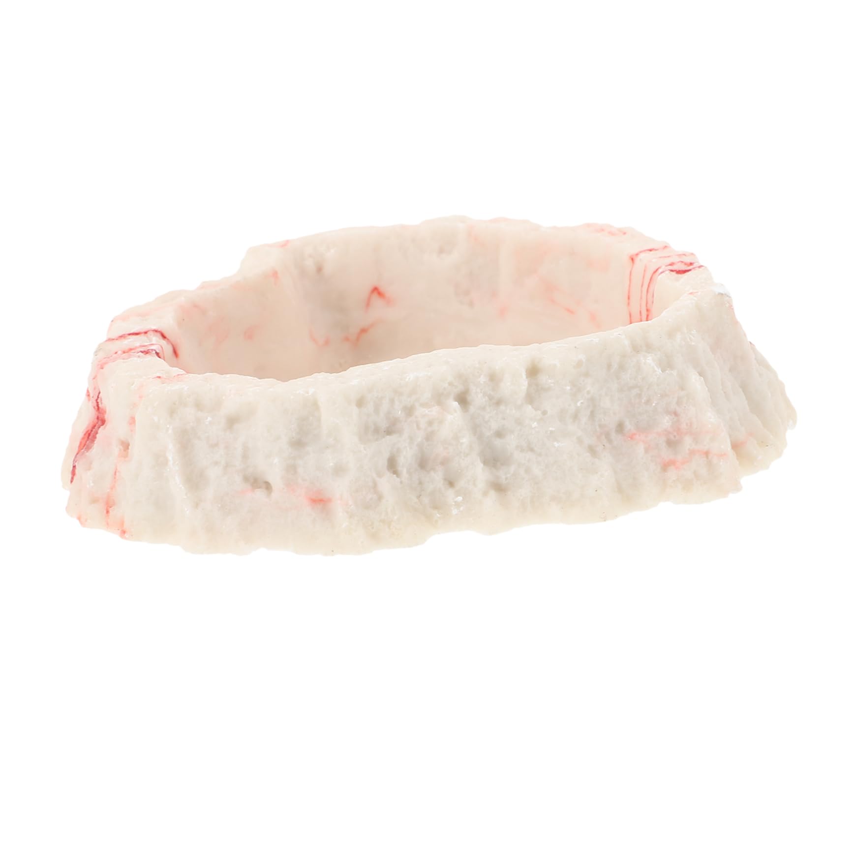 Mikikit Reptile Food and Water Bowl Durable Resin Lizard Feeder Dish for Bearded Dragons Tortoises and Amphibians Easy to Clean Terrarium Decor Feeding