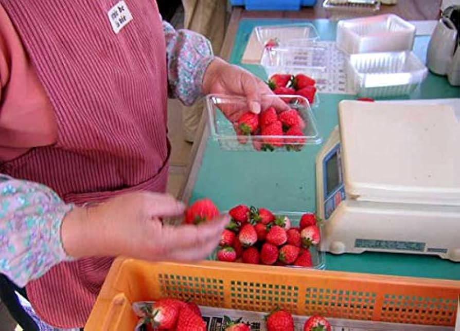 ①【いちごさま】ご購入品 Amazon.co.jp: 国産いちご 【Sサイズ (35〜36粒)〔欠品の場合M