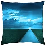 lightning at the end of the road - Throw Pillow Cover Case (18