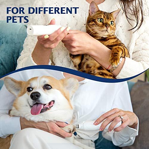 Rexipets Dog Nail Grinder Clipper - Professional LED Rechargeable Electric Pet Nail Trimmer - Painless Paws Grooming & Smoothing - Quiet 2-Speed Motor - 3 Size Ports For Small Medium Large Dogs & Cats