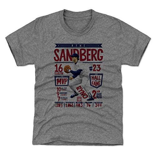 500 LEVEL Ryne Sandberg Kids Shirt - Ryne Sandberg Stats