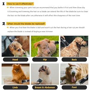 Detachable Steel Pet Dog Clipper Blades, Size-10, Compatible with Andis Cutting Length 1/16″