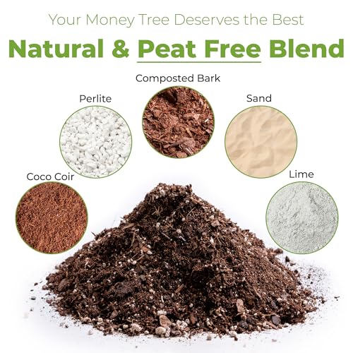 Perfect Plants Money Tree Potting Soil 4qt | Organic Coco Coir Based Plant Mix for Indoor Trees | Quickly Grow Your Indoor Forest - Image 3