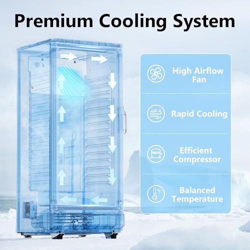 6 Cu.Ft Commercial Refrigerators, Display Fridge with Double-Tempered Glass Door, Beverage Cooler for Bar, Office, Restaurant, Outdoor Beverage Refrigerator with Locking, Key & LED