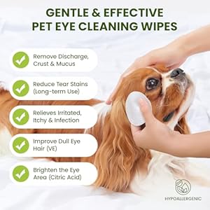 Eye Wipes for Dogs & Cats, Hypoallergenic Dog Eye Wipes Cleaner, Natural Cleaning Pet Wipes for Face Gently Remove Tear Stain, Eye Debris, Discharge, Mucus, Non-Irritating, Unscent, 100 PCS Eye Wipes for Dogs Cats Hypoallergenic Dog Eye Wipes Cleaner Natural Cleaning Pet Wipes for Face Gently Remove Tear Stain Eye Debris Discharge Mucus Non Irritating Unscent 100 PCS