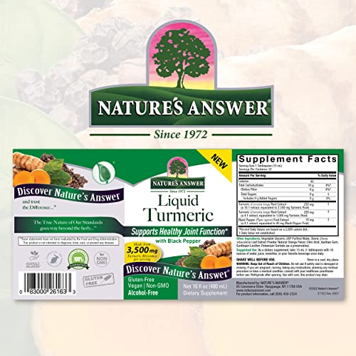 Nature's Answer Turmeric Liquid 16 Ounce | 3500 Mg | Supports Inflammatory Response | Joint Support Relief | Gluten Free | Non Gmo #TOP1