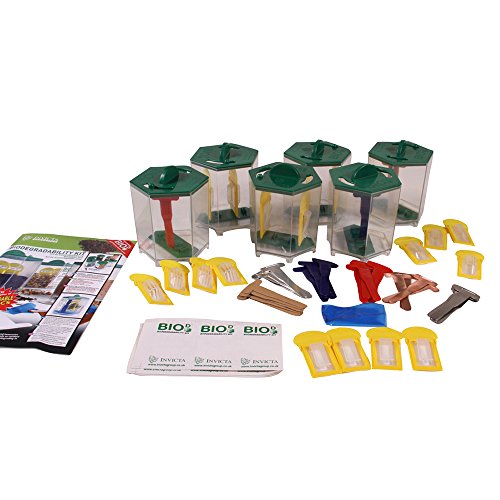 Image of Invicta 77883 Biodegradability Classroom Kit