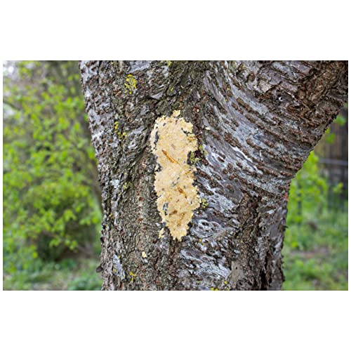 JR FARM Garden Bark-Butter Mehlwürmer 2kg, farblos