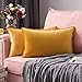 MIULEE Confezione da 2 Fodere Borde Avvolte Morbide in Velluto Decorative Federe Copricuscini per Divano Soggiorno Camera da Letto e30 X 50 cm D'Oro