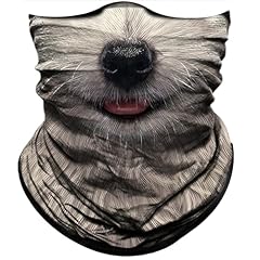 Dog White Hair Black Nose