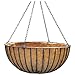 Border Concepts 72252 Liberty Hanging Basket, 14-Inch, Black