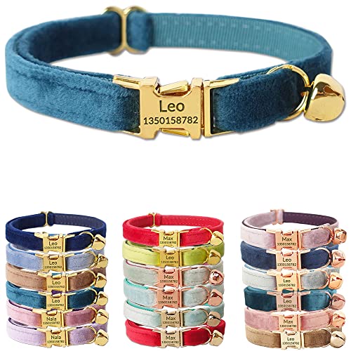 Comparison of Best Embroidered Cat Collars Top Picks 2023 Reviews