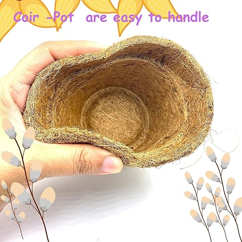 City Greens Garden Starter Kit | Seed Starter Kit | 4 in 1 Salad DIY Gardening Kit - Lettuce, Cherry Tomato, Red Cabbage, Cucumber |Total No of Seeds - 40 | Perfect Gardening Kits For Kids.