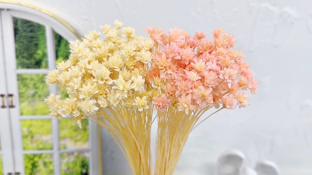 100 piezas Mini flores secas decorativas brasileñas miniatura 7