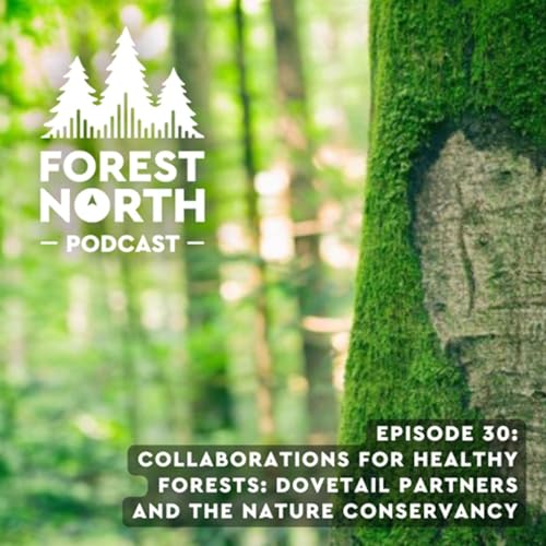 Collaborations for Healthy Forests: Dovetail Partners and The Nature Conservancy