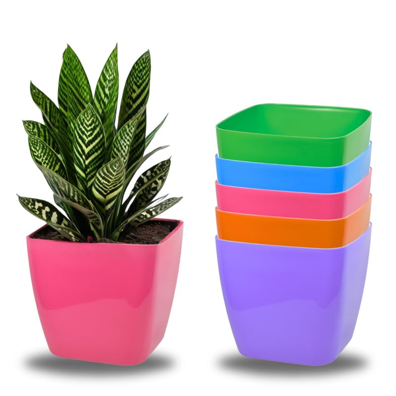 Meepo Square Flower pots planters Multicolor Table top Small pots (Multi) | Plastic Plant Pot for Garden Home & Office(Pack of 5)