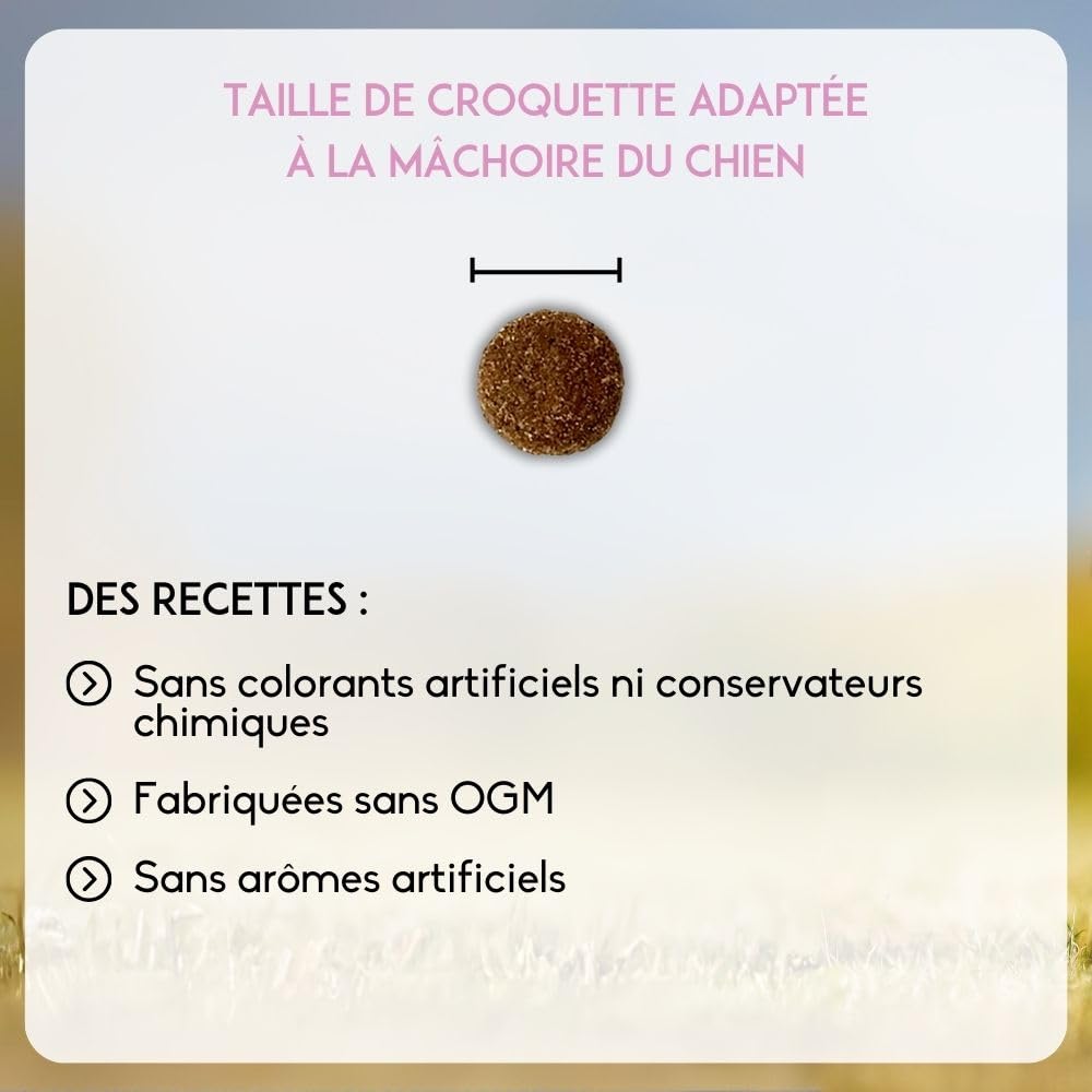 NUTRIVET - Premium Master Puppy - Croquetas para Cachorros con Actividad Normal - Pollo y arroz - 15kg