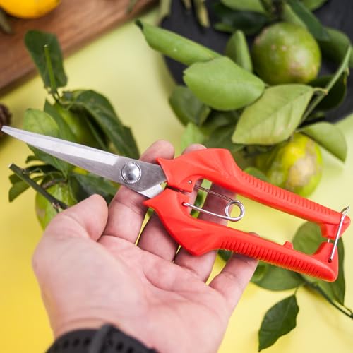 Tijeras de jardín con mango rojo y acero inoxidable miniatura 4