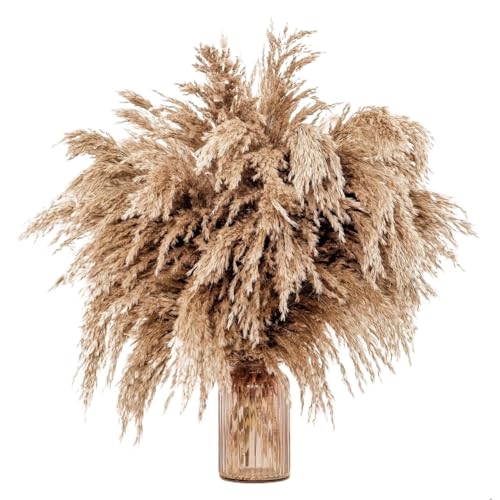 Pampas Grass ramo decorativo seco 45-50cm 5 piezas miniatura 1