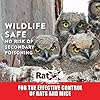 RatX Throw Packs- for All Species of Rats and Mice Safe Around Pets
