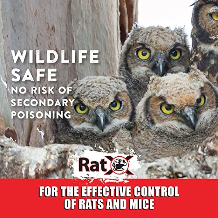 RatX Throw Packs- for All Species of Rats and Mice Safe Around Pets