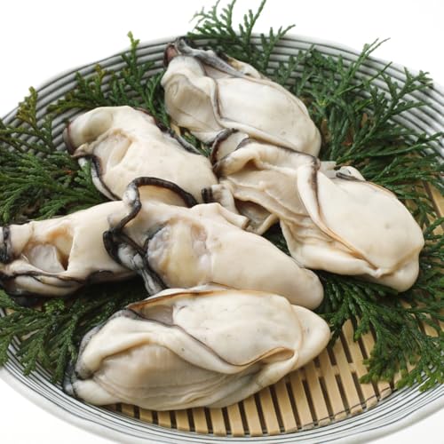 y2025VⓀł͂܂zO {錧Y ɑI y JL 100g  ŏドN̂ނg Õ~lՂyss Qlo^z ({錧Y100g)