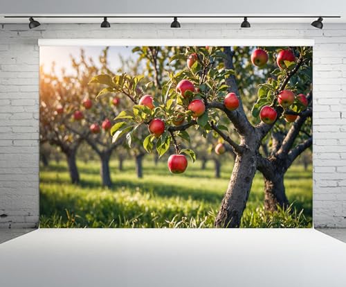 Fondo Fotográfico 7x5ft Manzanas Rojas Otoño miniatura 2
