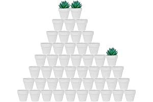 Adorable Tiny White Ceramic Plant Pots - Your Garden's New Favorite