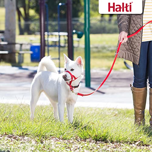 HALTI Doppelführleine - Multifunktionale Hundeleine zum Trainieren und Gassigehen mit Ihrem Hund. Leicht und mit Neopren gepolsterte. Für Welpen geeignet (Größe Groß, Rot, 2m)