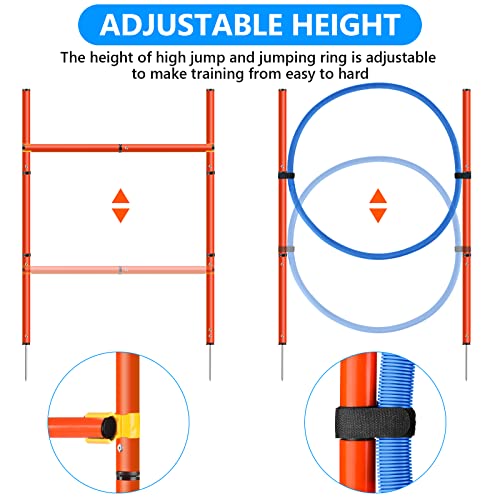 image for XiaZ Dog Agility Equipments, Obstacle Courses Agility Training Starter