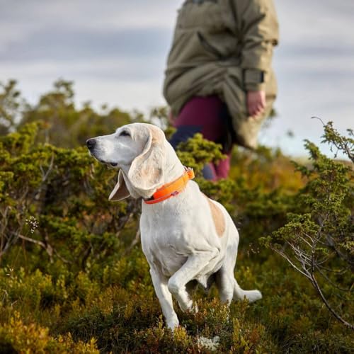Non-stop dogwear Non-Stop Safe Collar - 30