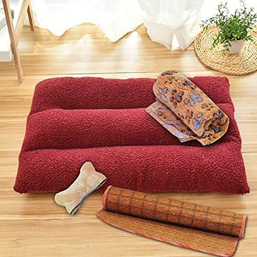 Young17 Tapis de Couchage pour Animal Domestique Quatre Saisons Universel Amovible et Lavable Taille M Grand Chien Confortable Multifonction en Laine dorée Chaude