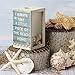 Primitives by Kathy May You Always Have A Shell In Your Pocket I Always Take A Little Piece Of The Beach Home Home Décor Shell Holder
