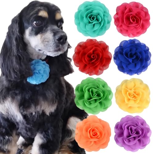 10 Stück 8 cm kleine Haustier-Fliege, Blumen, Hunde-Halsband, Charms, bunt, Katzenhalsband, Blumen, weiche Chiffon-Blumenverzierungen, Hundehalsband, Zubehör für Katzen, Hunde, Haustiere, 8 cm, Kein