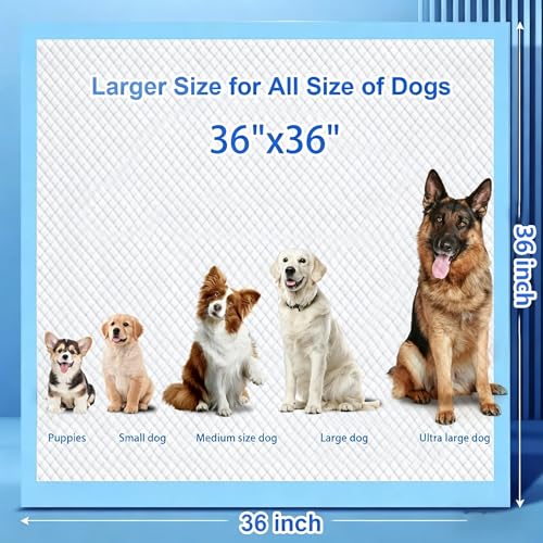 Image of XXXXL Puppy Pee Pads for Dogs 36 inchx36 inch 60 Count, Extra Large Dog Pee Pads, Leak-Proof & Super Absorbent Dog Pee Pads, Thicken Disposable Potty Pads Puppy Training Pads for Cats Rabbits