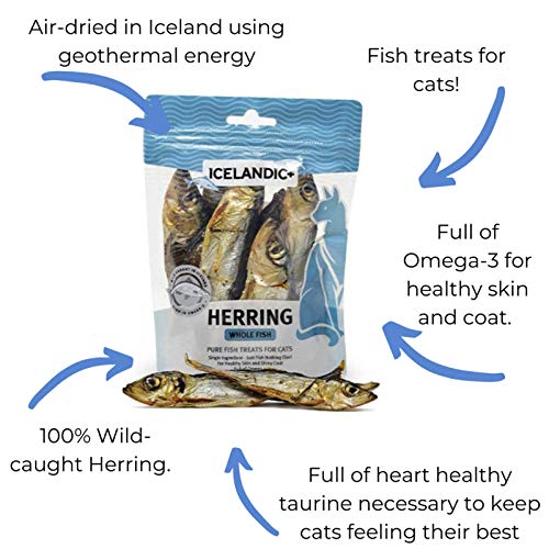 Icelandic+| All-Natural Cat Treats| Whole Fish Herring, 1.5 oz., Grey - Image 6