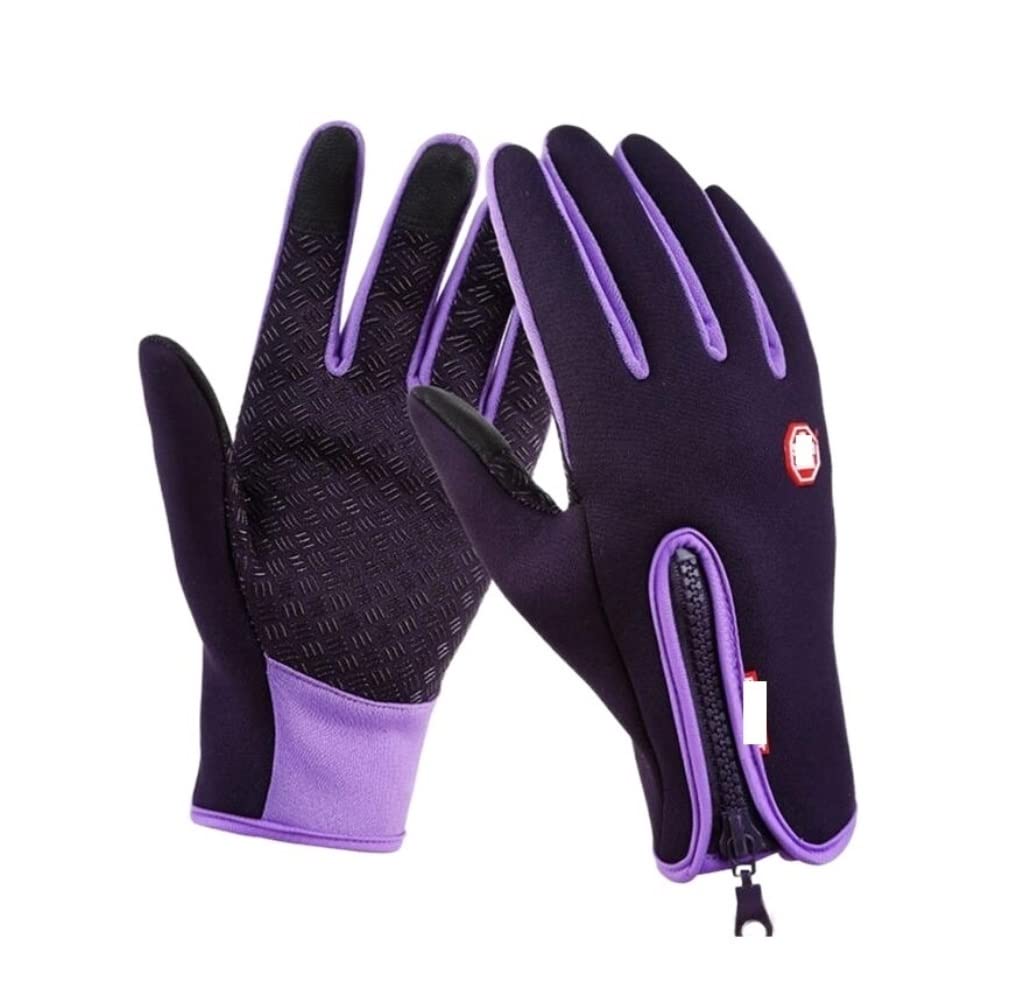 Gants de Cyclisme Gants Chauds d'hiver Coupe-Vent Hommes Gants De Ski Écran Tactile D'équitation De Moto Gant Velo (Color : Purple, Size : Large)