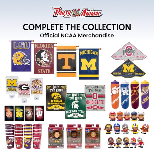 Party Animal NCAA Vintage Wall Décor, Iowa Hawkeyes - image 8